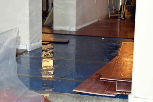 Professional Emergency Water Damage Restoration technician working in Carriere, MS